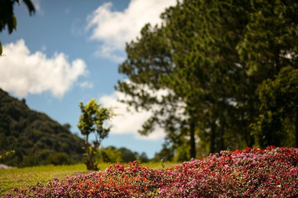 Sam Tuyen Lam Resort Νταλάτ Εξωτερικό φωτογραφία